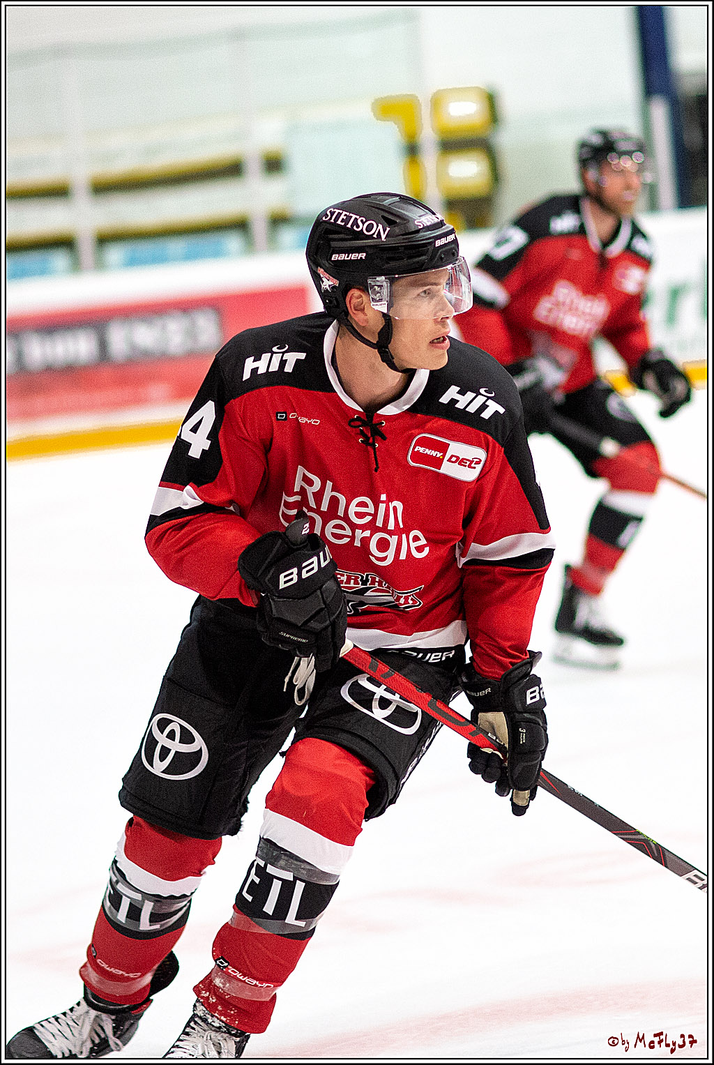 PENNY DEL;  Koelner Haie - Adler Mannheim; Koeln, 19.08.2021